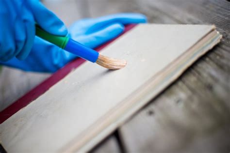 how to clean mold off books