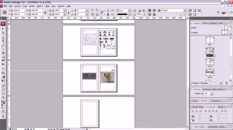 How to Print a Booklet in InDesign: When Penguins Dream of Flying